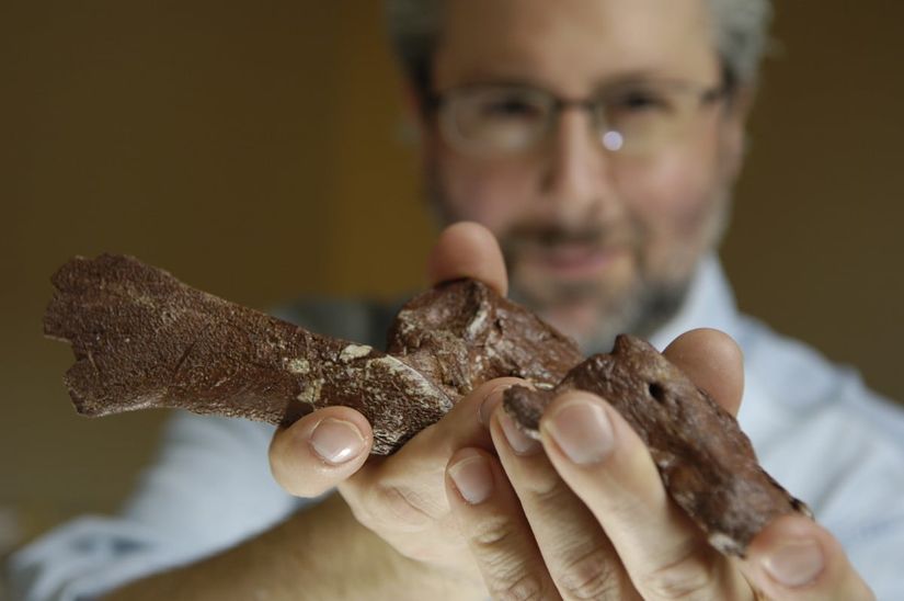 Chicago Üniversitesinden Neil Shubin son buluşunu sunuyor. Balık ve ilk ayaklı hayvanlar arasındaki geçiş türü olan 375 milyon yıllık Tiktaalik roseae'nın iyi korunmuş pelvis ve pelvik yüzgecinin bir kısmının keşfi, arka ayakların evriminin aslında gelişmiş arka yüzgeçler olarak başladığını açığa çıkardı. Bu buluş, büyük ve hareketli arka uzantıların omurgalıların karaya geçişinden sonra var olduğunu öne süren teori ile çelişmektedir. Fosiller, bilim insanları tarafından ocak 2013'de Proceedings of the National Academy of Sciences'da online olarak tanımlandı.