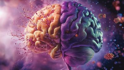 Alzheimer Hastalığı Beyni İki Farklı Evrede Yıkıma Uğratıyor!