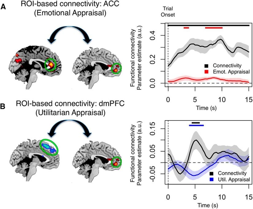 Genel bir ahlaki karara varılırken ayrı bölgelerden gelen bilgi, beynin ventromedial prefrontal korteks bölgesinde (vmPFC) birleştirilir.